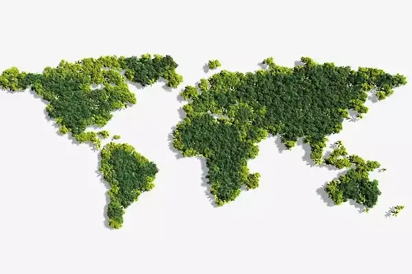 Timberland et production écologique
