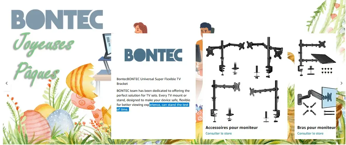 BONTEC Support Ecran PC 2 pour Moniteurs