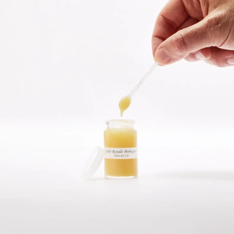 Main prélevant de la gelée royale bio à la spatule au-dessus du pot en verre de 25 g