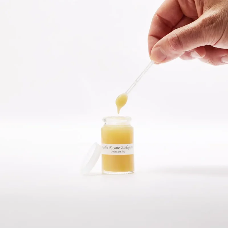 Pot de gelée royale biologique pure de 25 g
