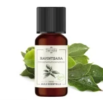 Huile essentielle Ravintsara Bio