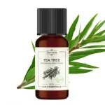 Huile essentielle Tea tree Bio