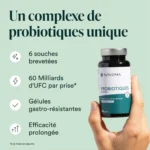 Probiotiques – Image 2
