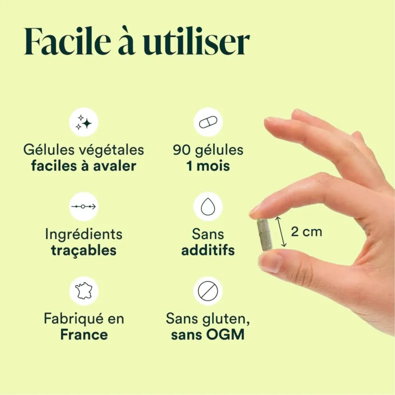 Gélule de Formule Détox de 2 cm tenue entre deux doigts, gélules végétales sans additifs, 90 gélules pour 1 mois